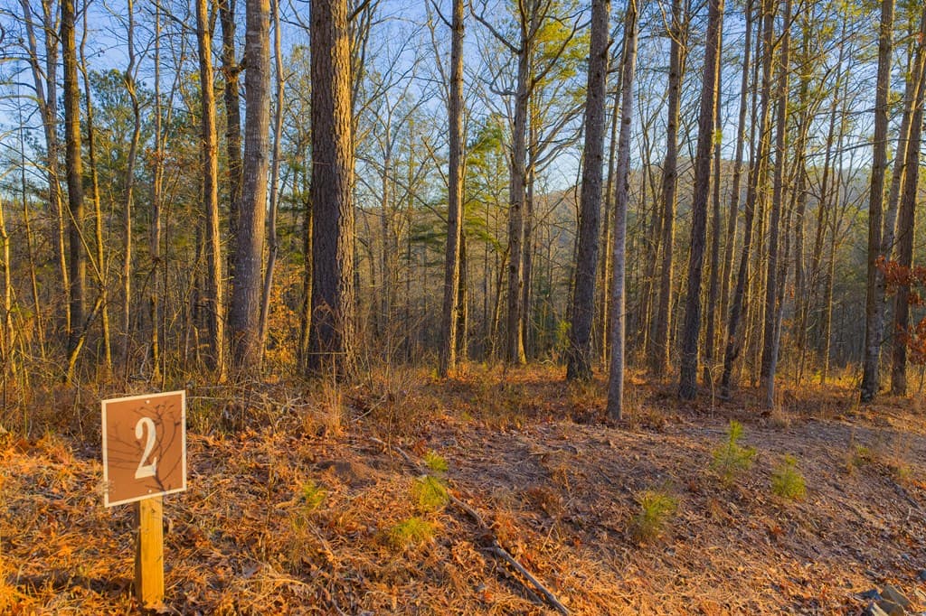 Lot 2 Blalock Mountain Road, Talking Rock GA 30175 - Photo