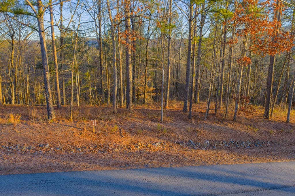 Lot 2 Blalock Mountain Road, Talking Rock GA 30175 - Photo