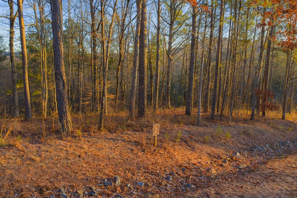 Lot 2 Blalock Mountain Road, Talking Rock GA 30175 - Photo