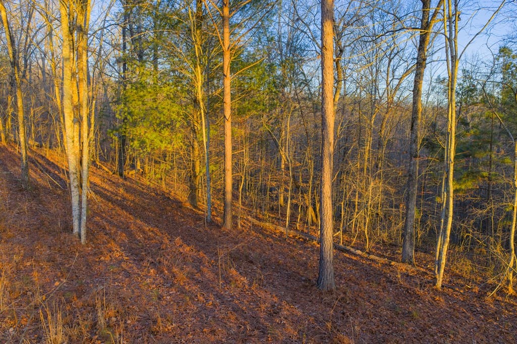 Lot 2 Blalock Mountain Road, Talking Rock GA 30175 - Photo