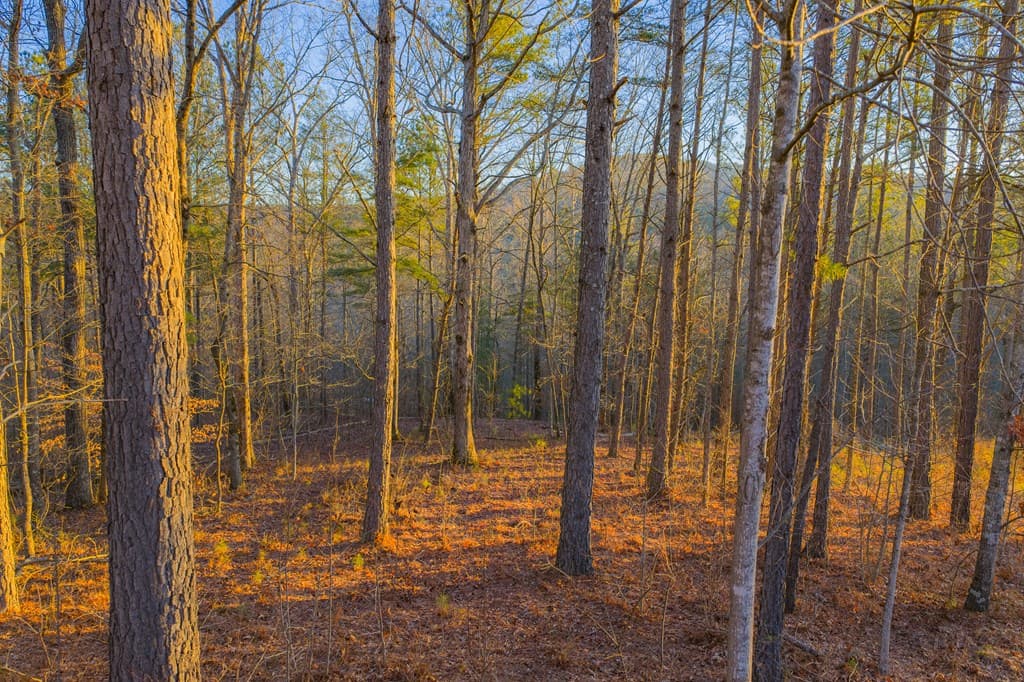 Lot 2 Blalock Mountain Road, Talking Rock GA 30175 - Photo