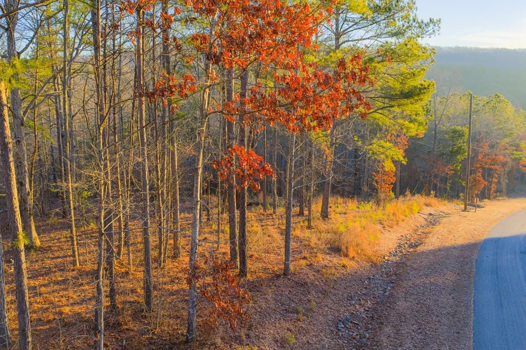 Lot 2 Blalock Mountain Road, Talking Rock GA 30175 - Photo