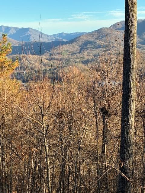 Lot 33 Eagles View, Hayesville NC 28904 - Photo