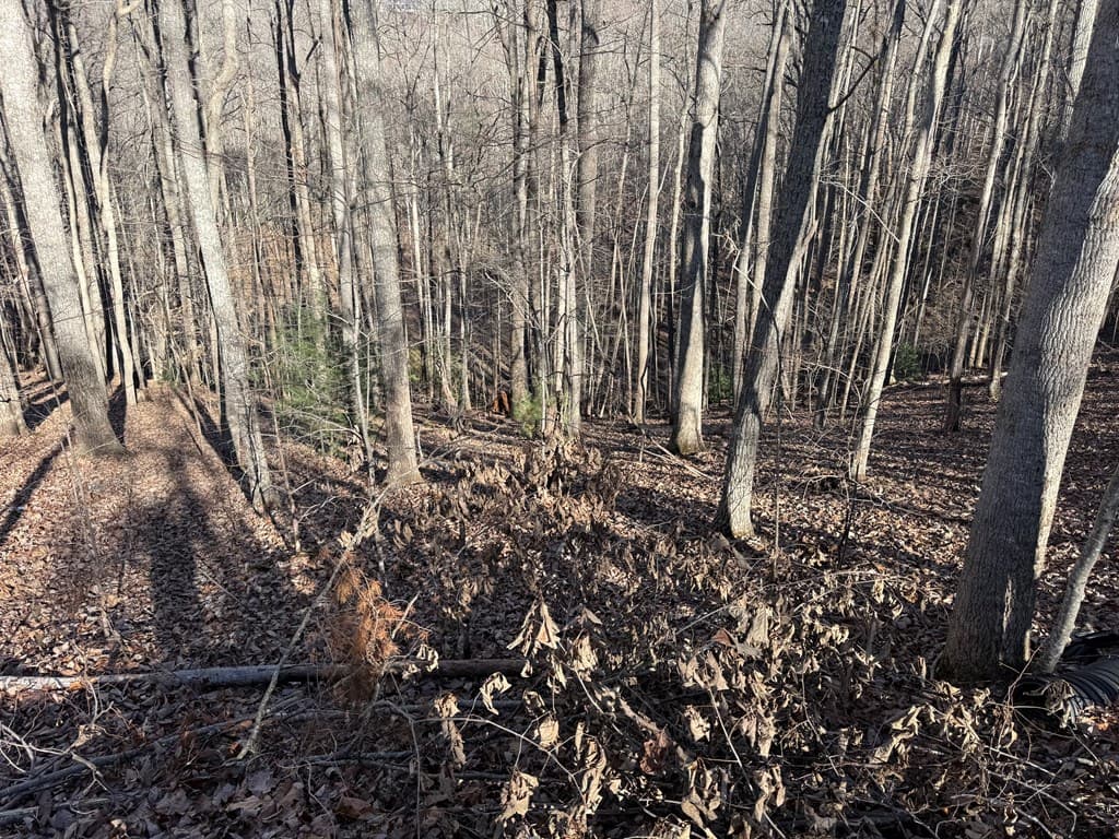 LOT 2 Doc Thomas Ridge Road, Blairsville GA 30512 - Photo