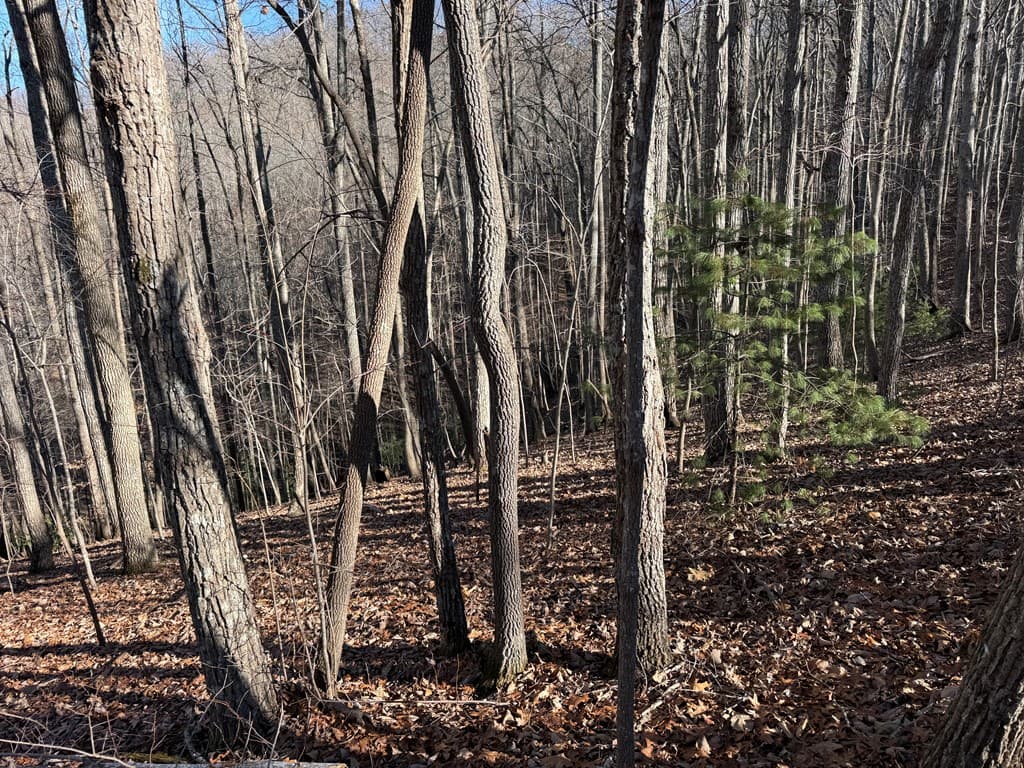 LOT 2 Doc Thomas Ridge Road, Blairsville GA 30512 - Photo