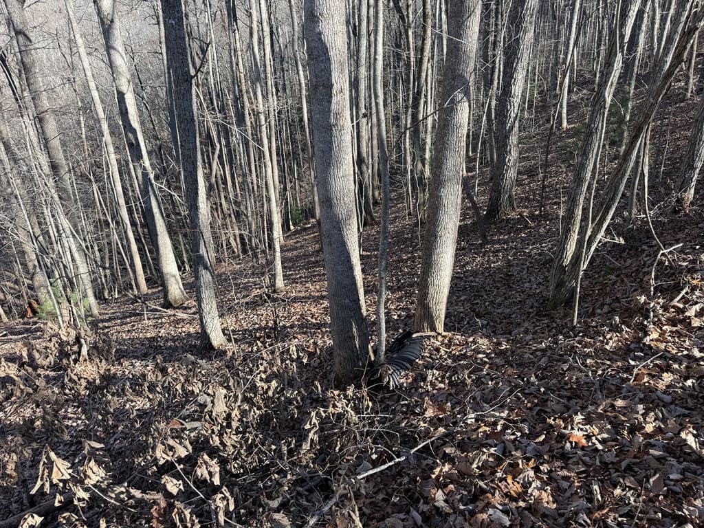 LOT 2 Doc Thomas Ridge Road, Blairsville GA 30512 - Photo