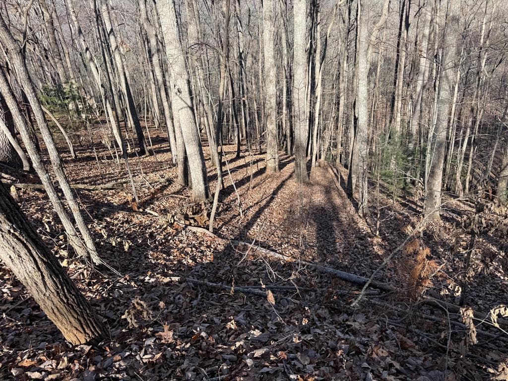 LOT 2 Doc Thomas Ridge Road, Blairsville GA 30512 - Primary photo