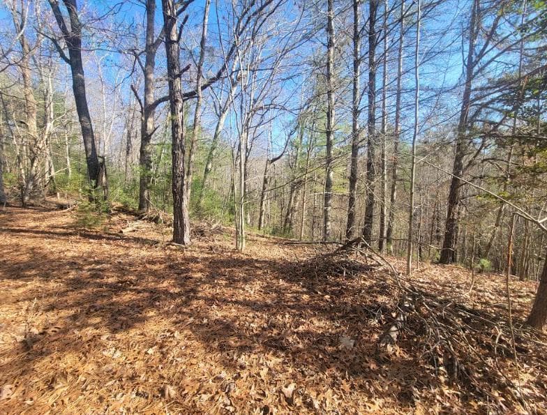 Lot 26 Countryside Lane, Hayesville NC 28904 - Photo
