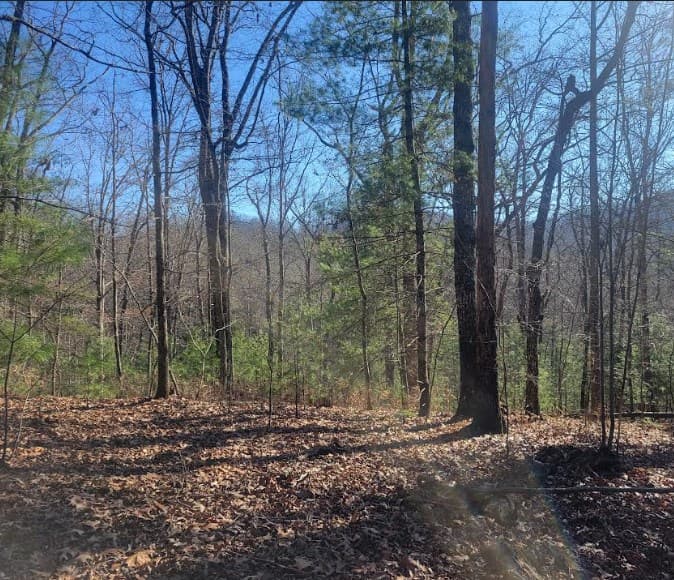 Lot 26 Countryside Lane, Hayesville NC 28904 - Photo