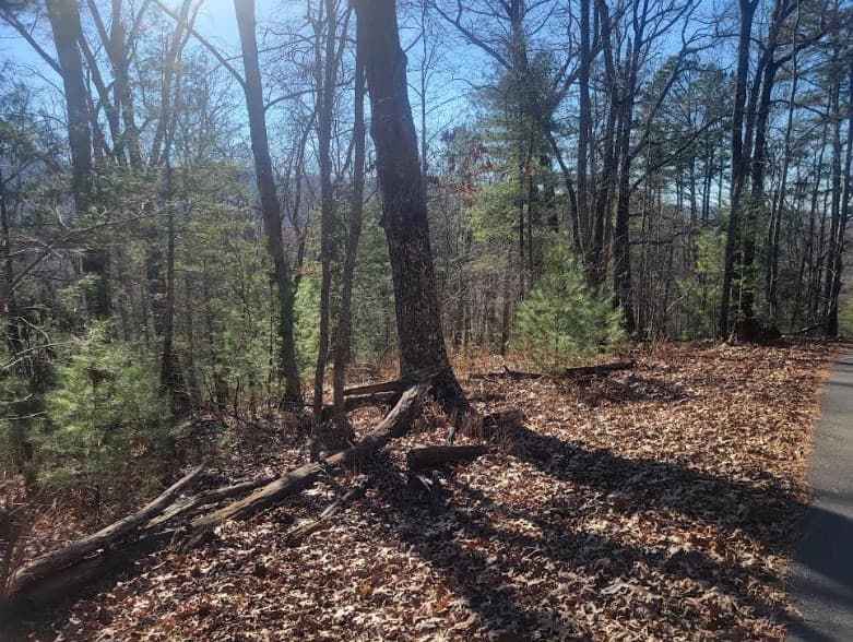 Lot 26 Countryside Lane, Hayesville NC 28904 - Photo