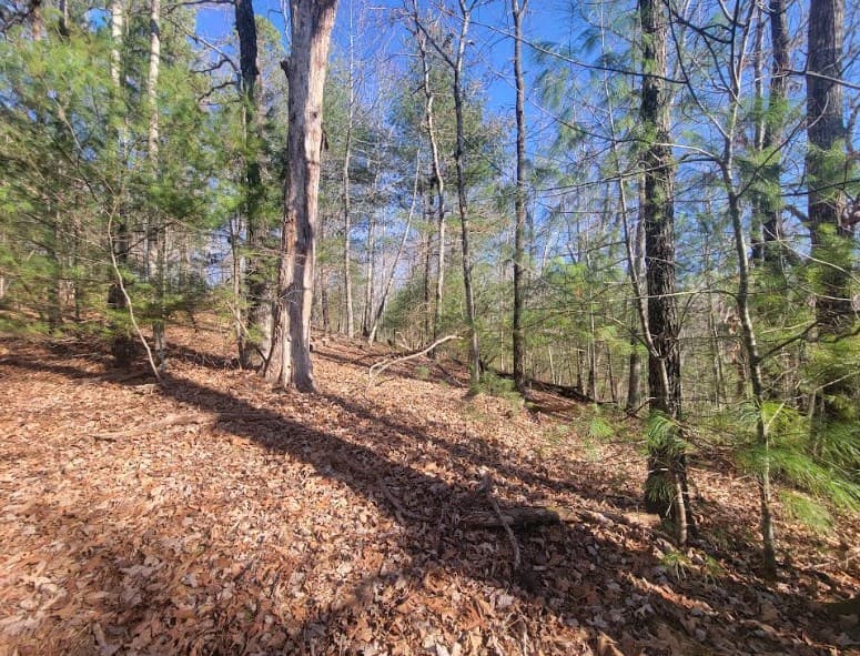 Lot 26 Countryside Lane, Hayesville NC 28904 - Photo