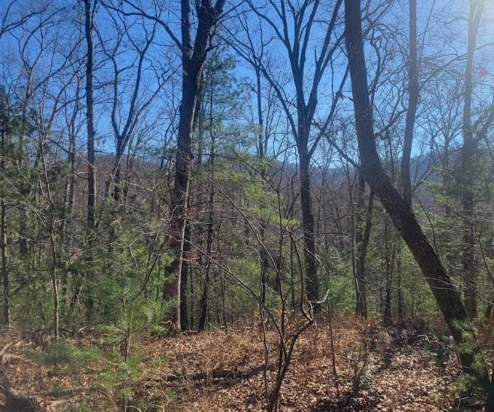 Lot 26 Countryside Lane, Hayesville NC 28904 - Primary photo