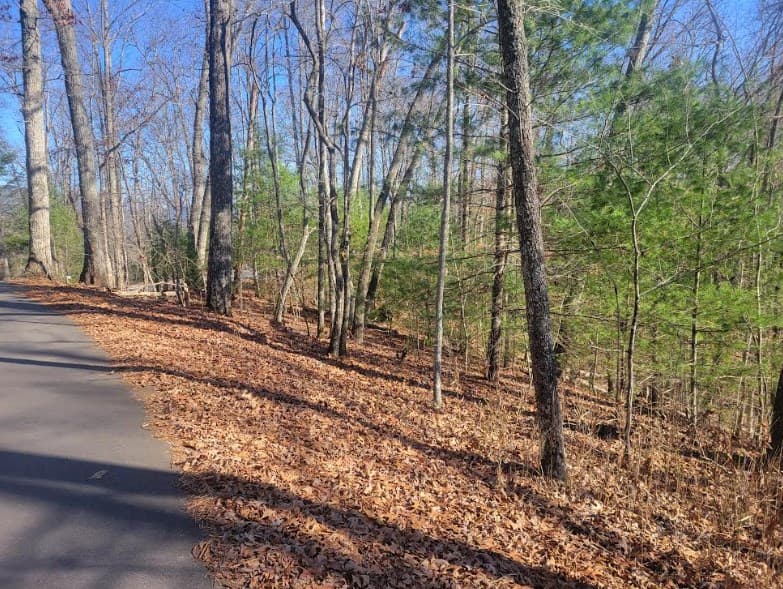Lot 26 Countryside Lane, Hayesville NC 28904 - Photo