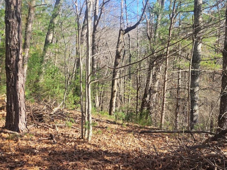 Lot 26 Countryside Lane, Hayesville NC 28904 - Photo