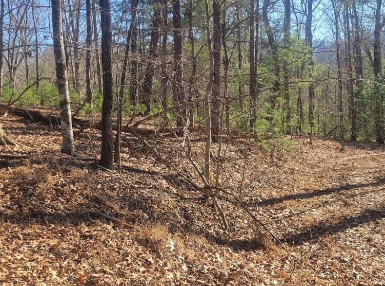 Lot 26 Countryside Lane, Hayesville NC 28904 - Photo