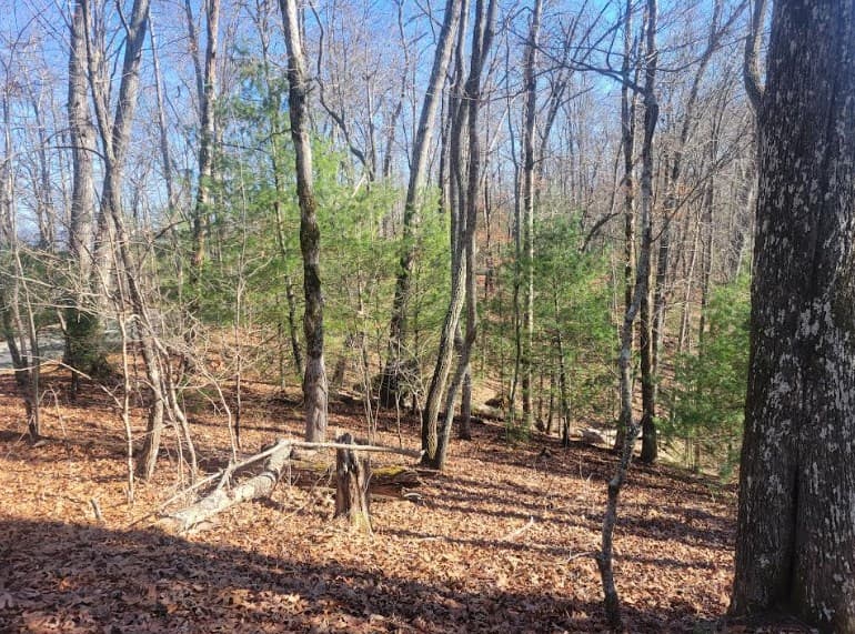 Lot 26 Countryside Lane, Hayesville NC 28904 - Photo