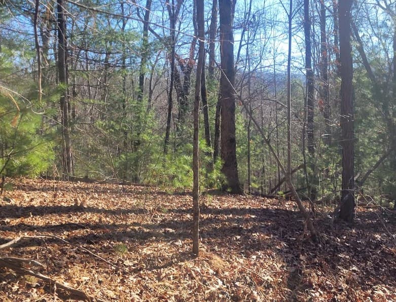 Lot 26 Countryside Lane, Hayesville NC 28904 - Photo
