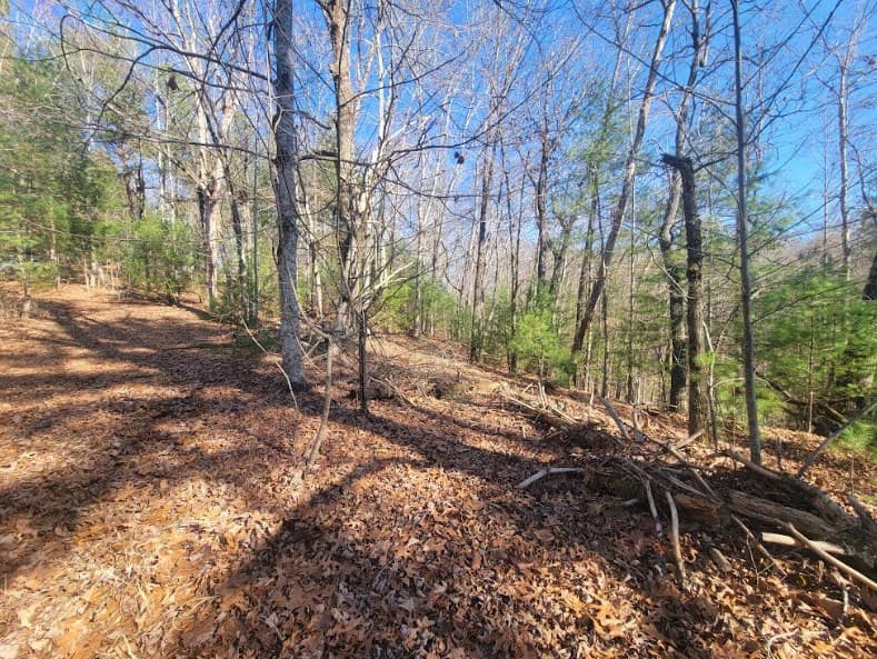 Lot 26 Countryside Lane, Hayesville NC 28904 - Photo