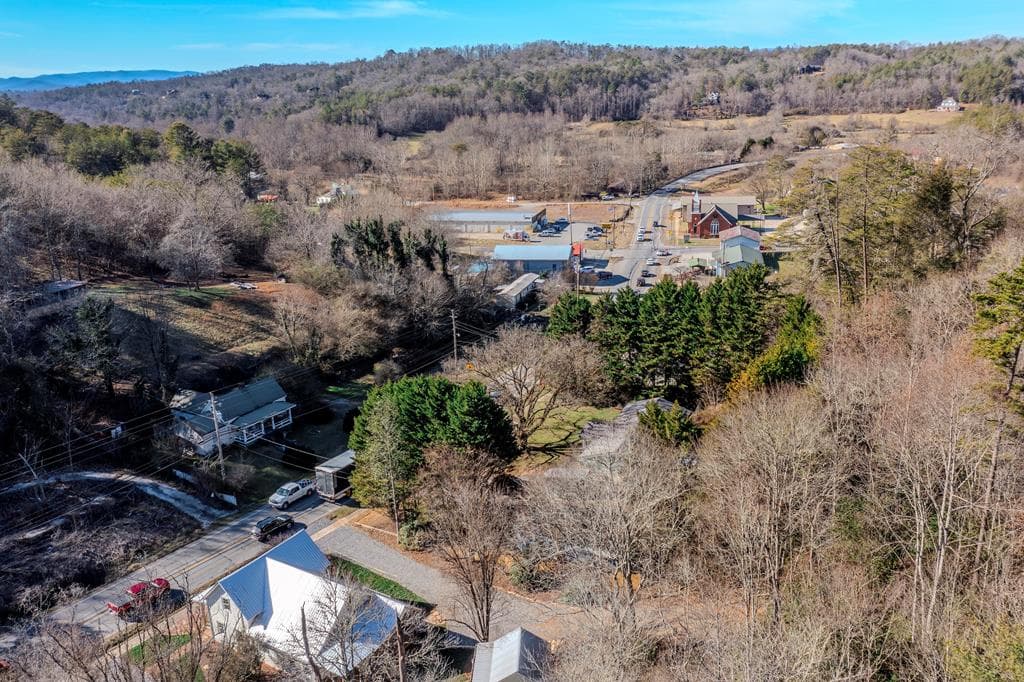 8679 Lakewood Hwy, Mineral Bluff GA 30559 - Photo