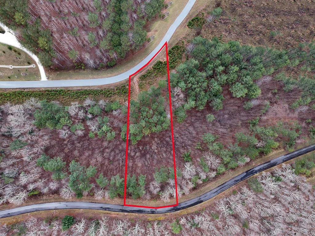 Lot 59 Ridge Peak View, Blairsville GA 30512 - Photo