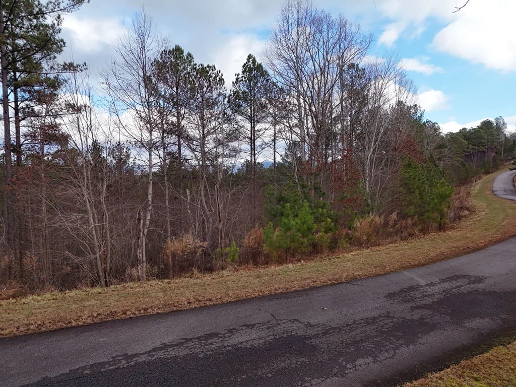 Lot 59 Ridge Peak View, Blairsville GA 30512 - Photo