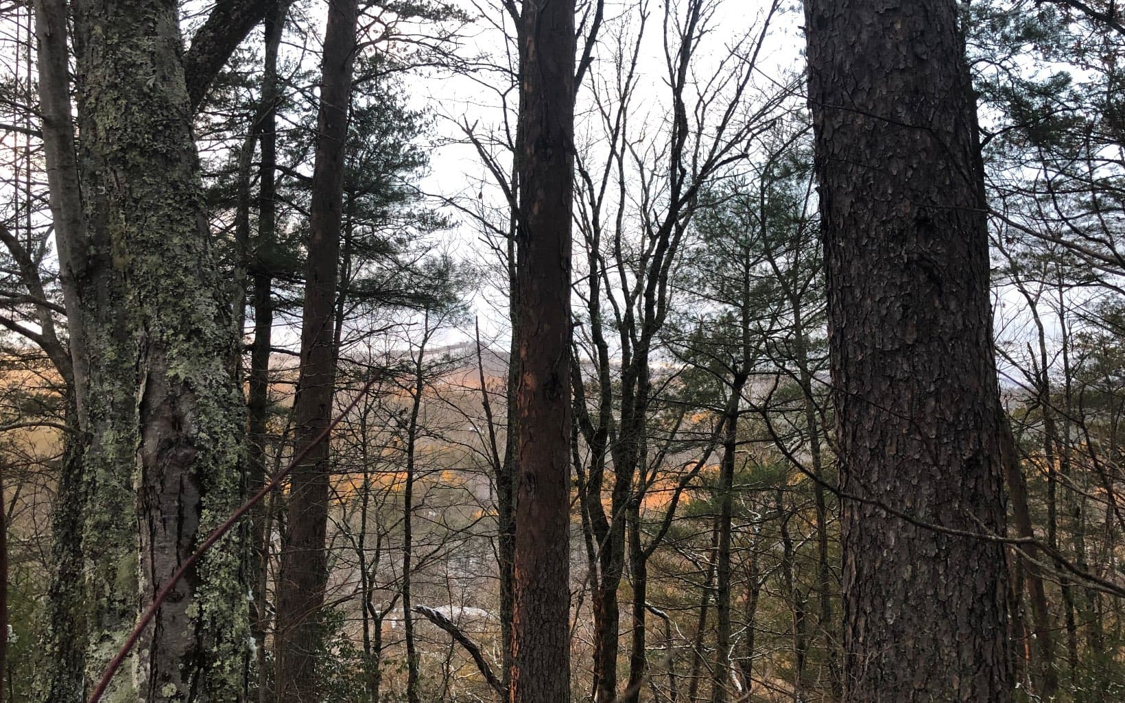 999 Blue Ridge Heights Drive, Blue Ridge GA 30513 - Photo