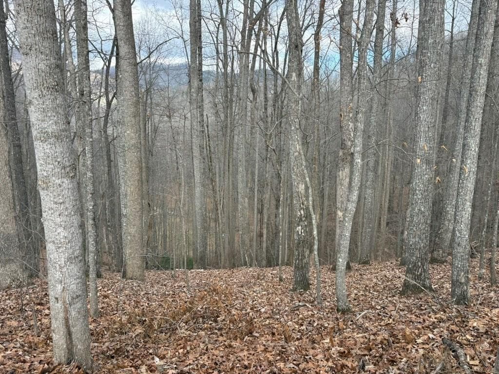TRACT 3 Doc Thomas Ridge Road, Blairsville GA 30512 - Primary photo