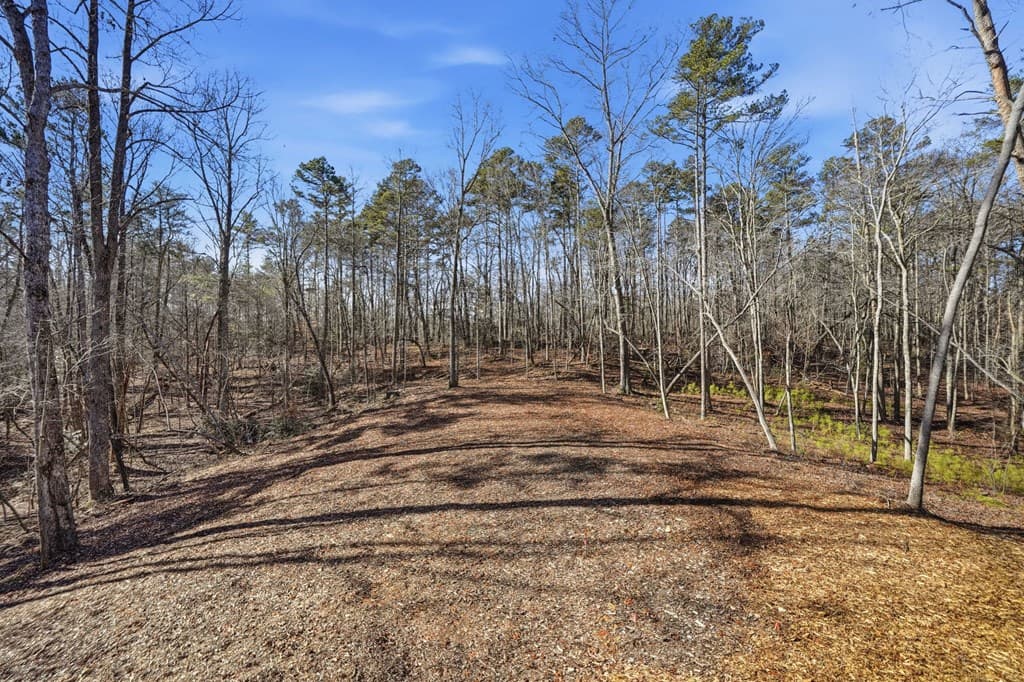 835 Hilton Drive, Ellijay GA 30540 - Photo