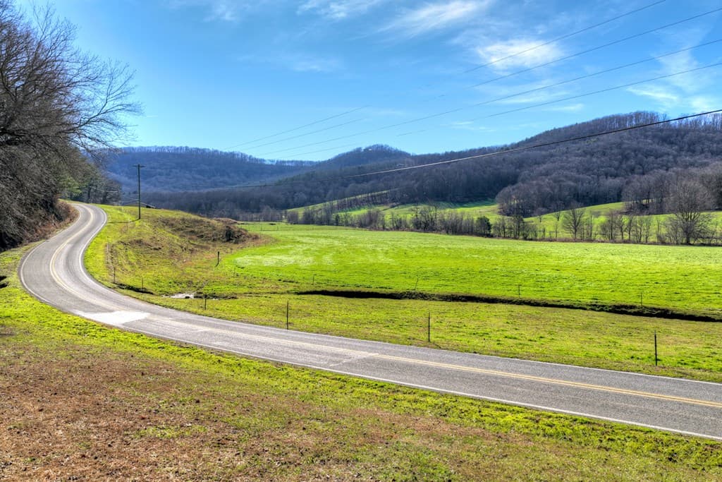 1705 Homer Wright Road, Talking Rock GA 30175 - Photo