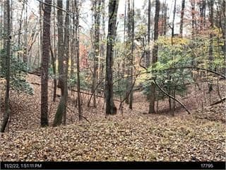 1705 Homer Wright Road, Talking Rock GA 30175 - Photo