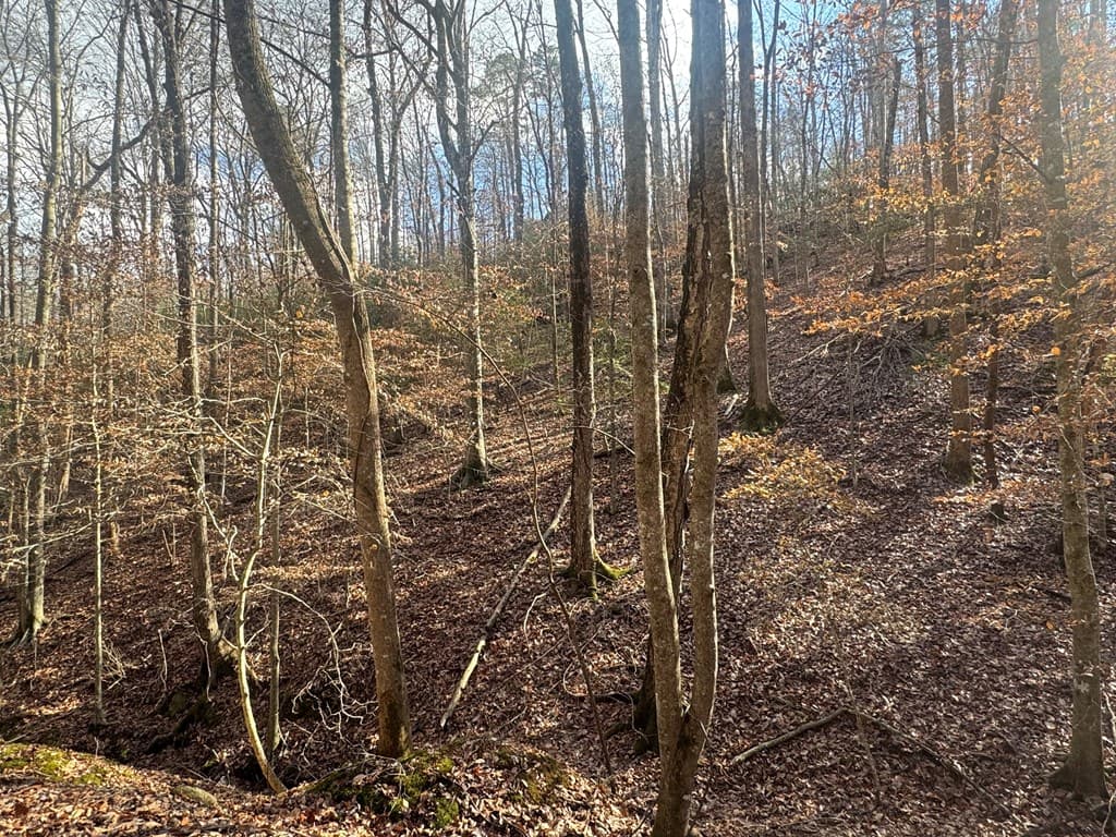 Lot 2749 Nimrod Court, Ellijay GA 30540 - Photo
