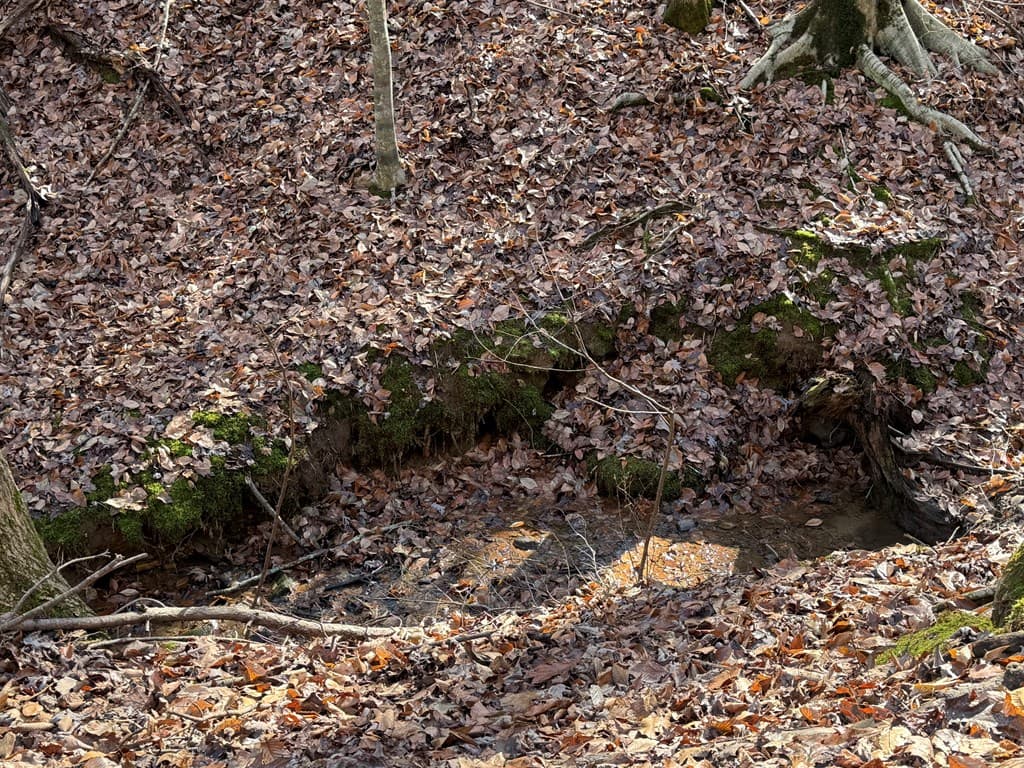 Lot 2749 Nimrod Court, Ellijay GA 30540 - Photo