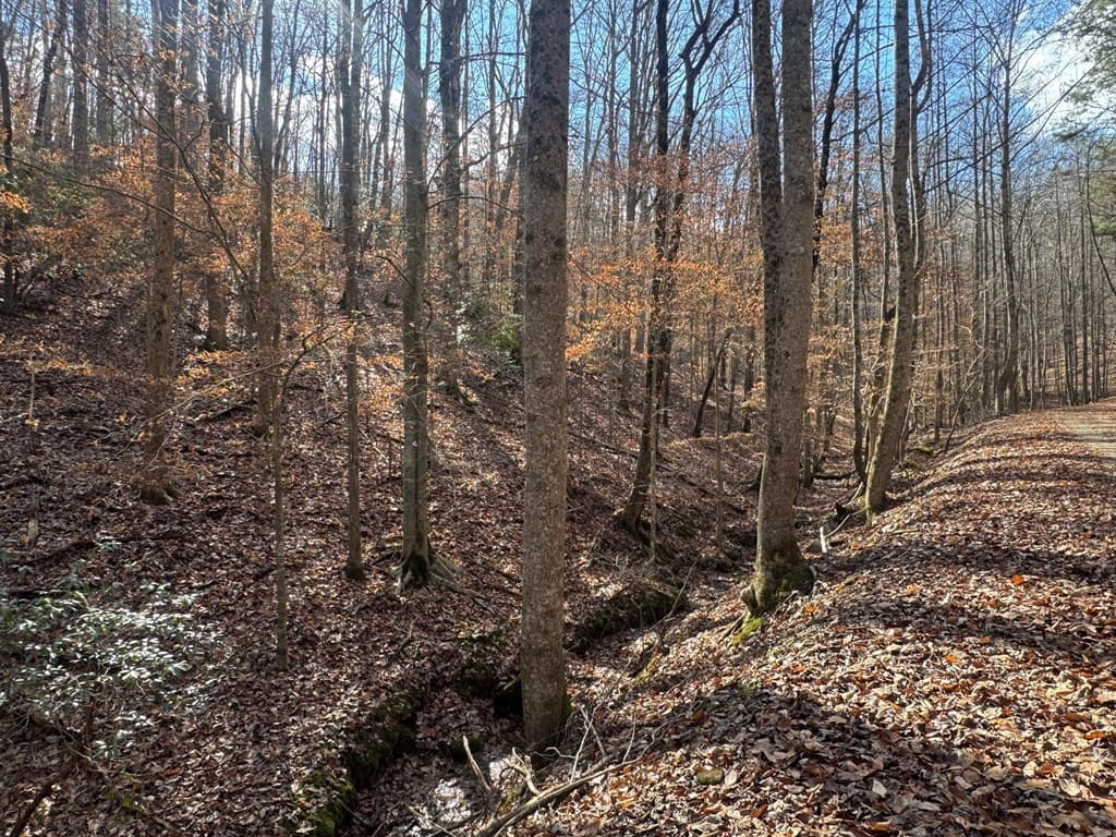 Lot 2749 Nimrod Court, Ellijay GA 30540 - Photo