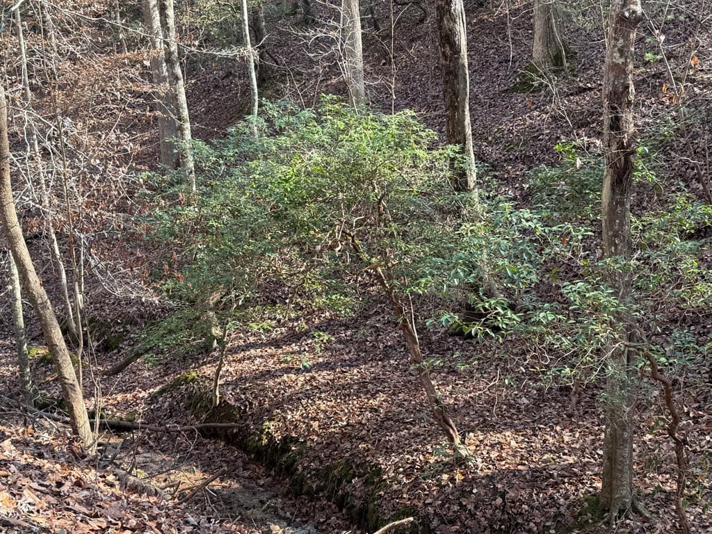 Lot 2749 Nimrod Court, Ellijay GA 30540 - Photo