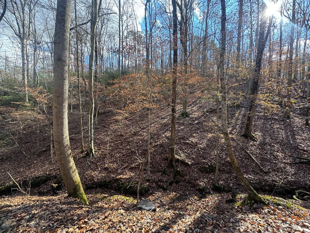 Lot 2749 Nimrod Court, Ellijay GA 30540 - Photo