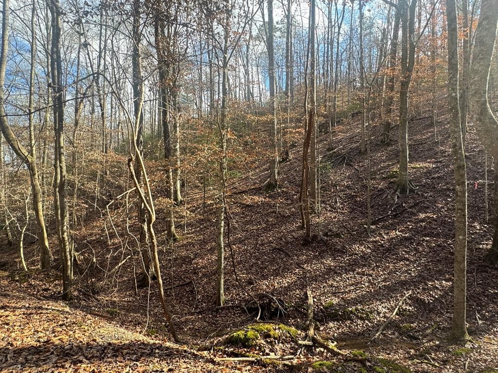 Lot 2749 Nimrod Court, Ellijay GA 30540 - Primary photo