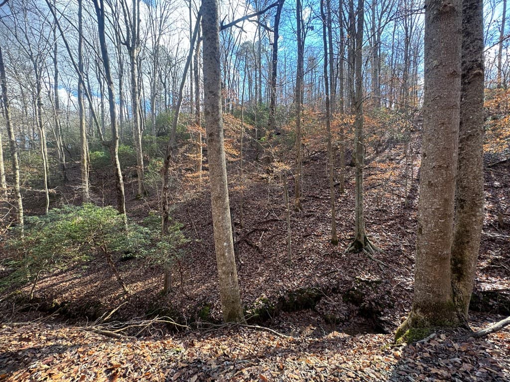 Lot 2749 Nimrod Court, Ellijay GA 30540 - Photo
