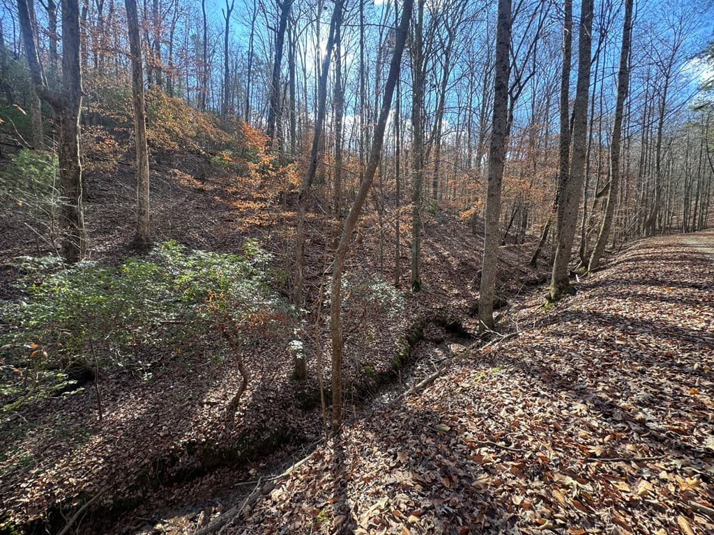 Lot 2749 Nimrod Court, Ellijay GA 30540 - Photo