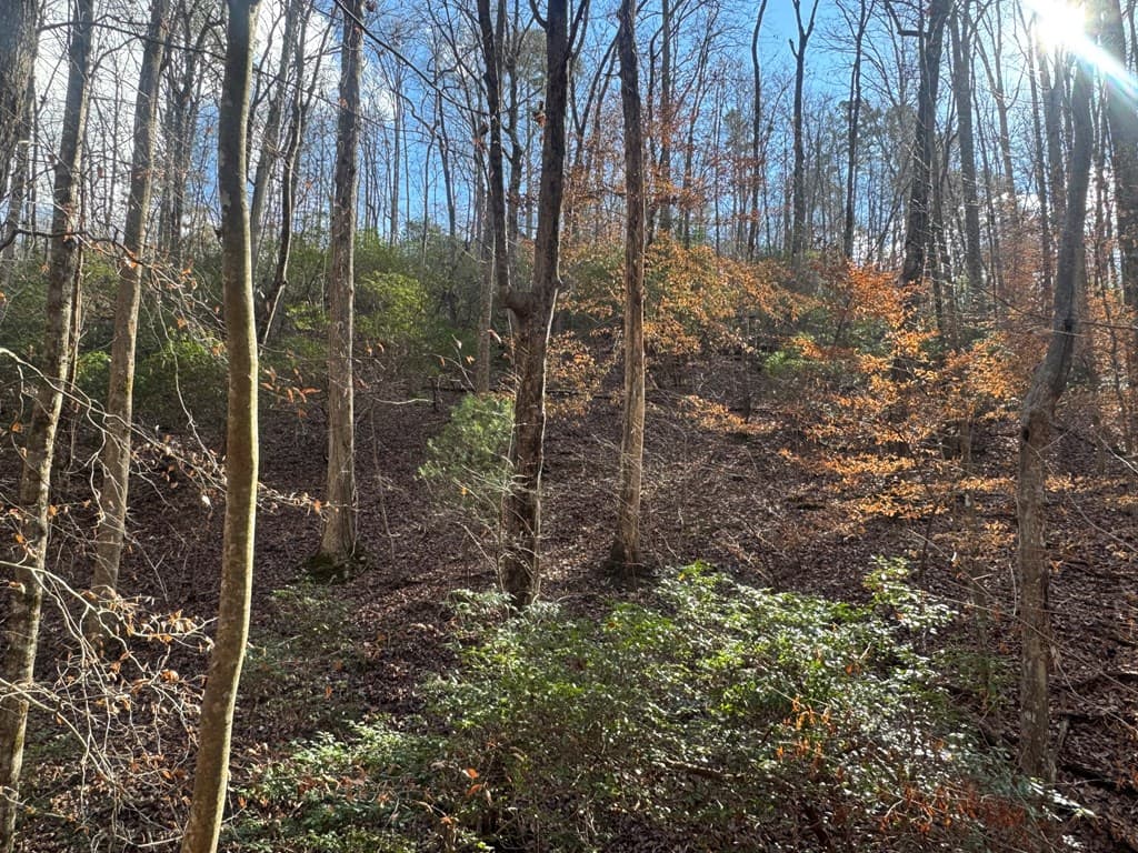 Lot 2749 Nimrod Court, Ellijay GA 30540 - Photo