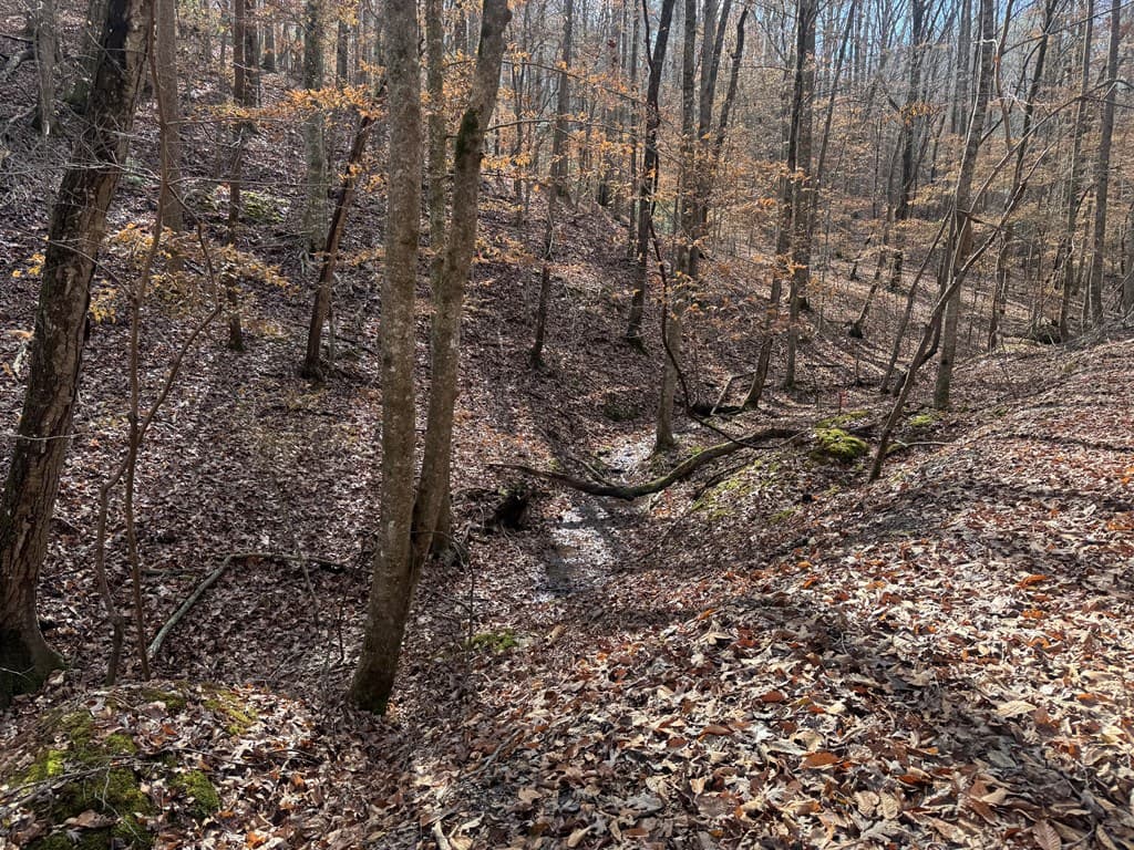 Lot 2749 Nimrod Court, Ellijay GA 30540 - Photo