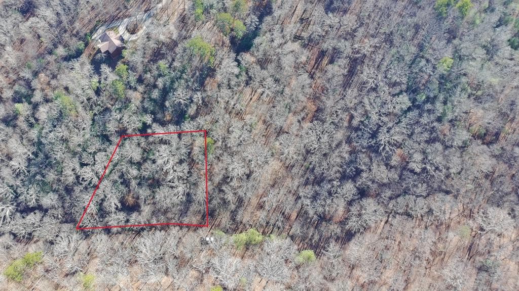 Lot 2749 Nimrod Court, Ellijay GA 30540 - Photo