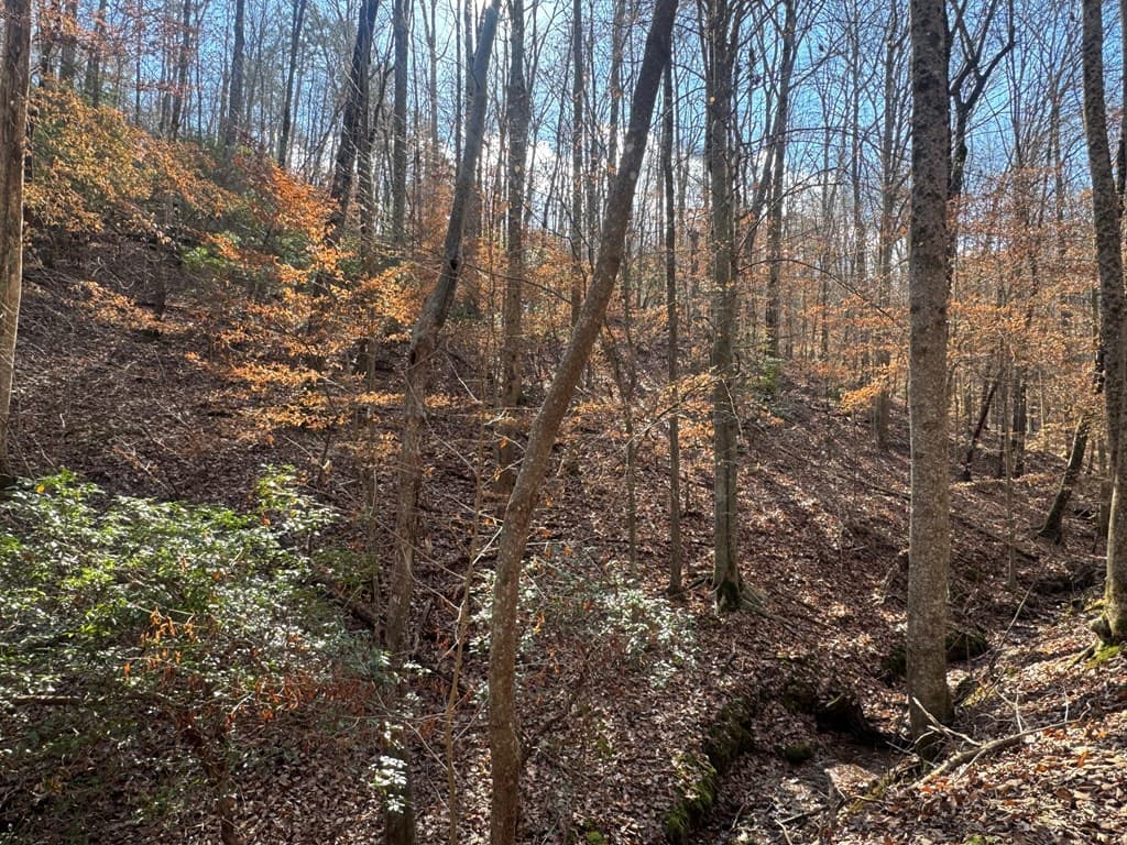 Lot 2749 Nimrod Court, Ellijay GA 30540 - Photo