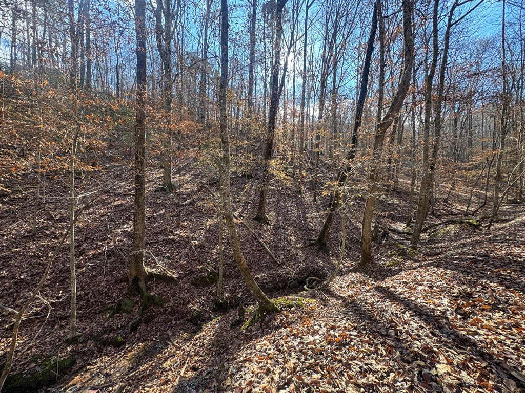 Lot 2749 Nimrod Court, Ellijay GA 30540 - Photo