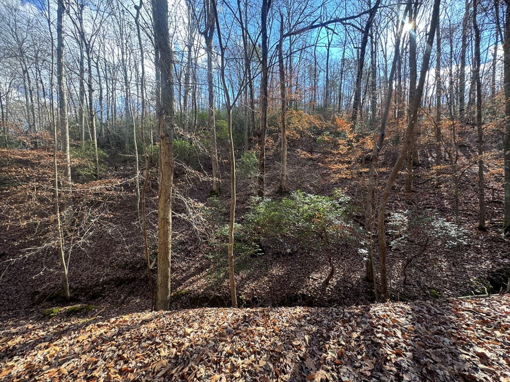 Lot 2749 Nimrod Court, Ellijay GA 30540 - Photo