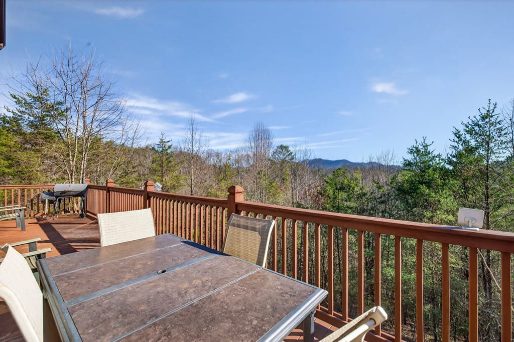 223 Red Bud Lane, Hiawassee GA 30546 - Photo