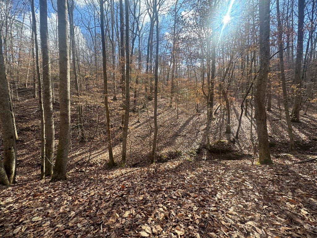 Lot 2750 Nimrod Court, Ellijay GA 30540 - Photo