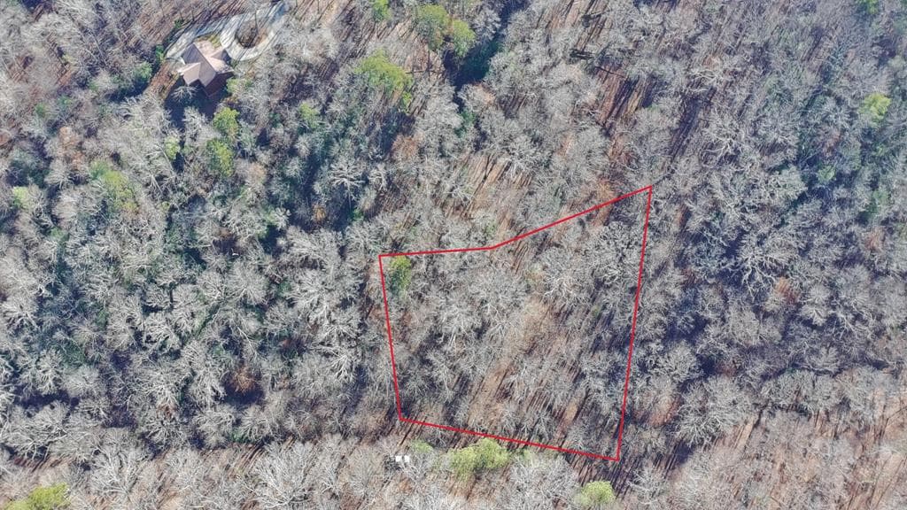 Lot 2750 Nimrod Court, Ellijay GA 30540 - Photo