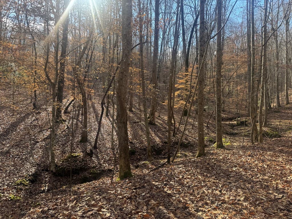 Lot 2750 Nimrod Court, Ellijay GA 30540 - Photo
