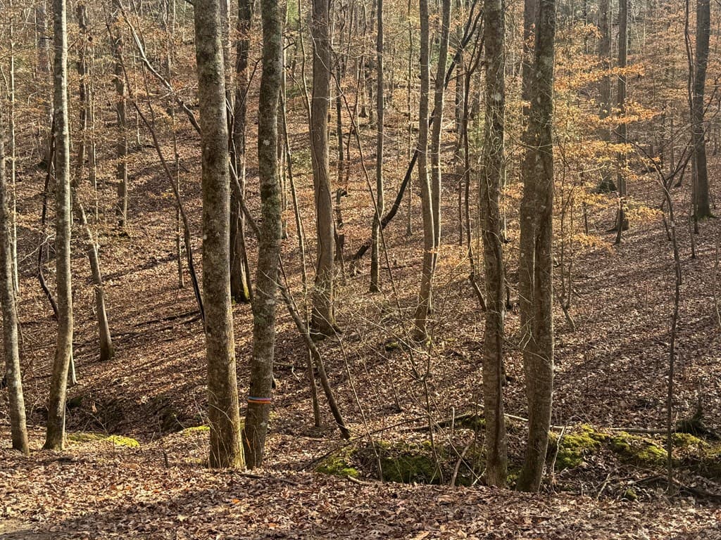 Lot 2750 Nimrod Court, Ellijay GA 30540 - Photo