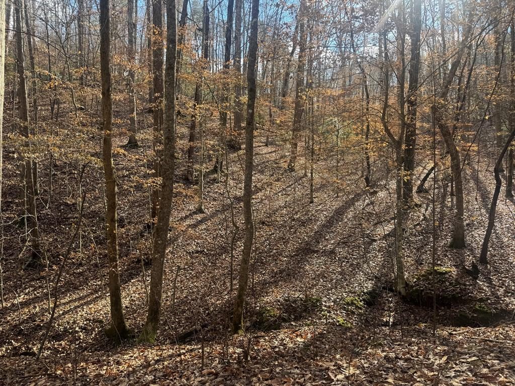 Lot 2750 Nimrod Court, Ellijay GA 30540 - Primary photo